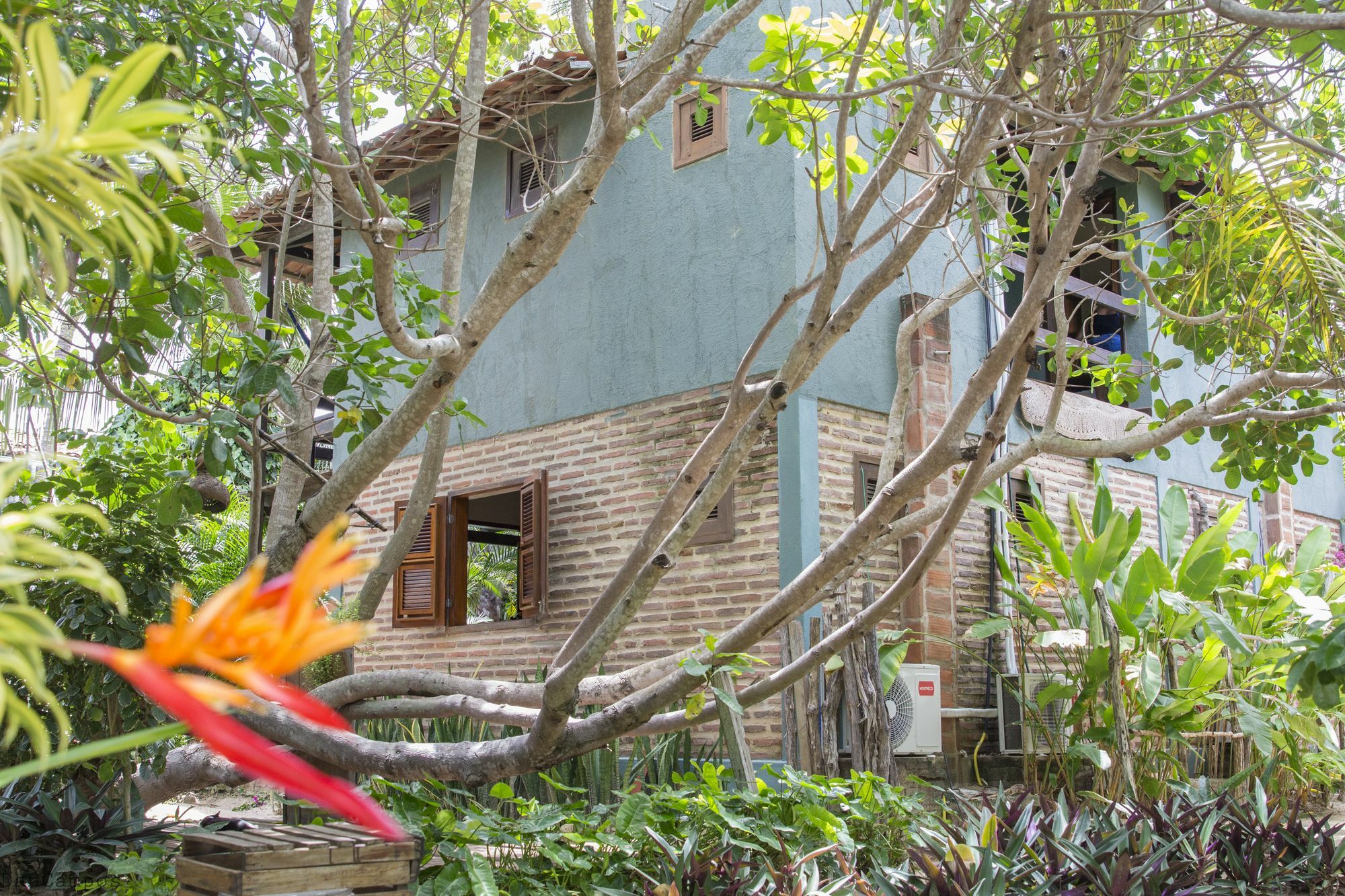 Pousada Mahi Jijoca de Jericoacoara Exterior photo
